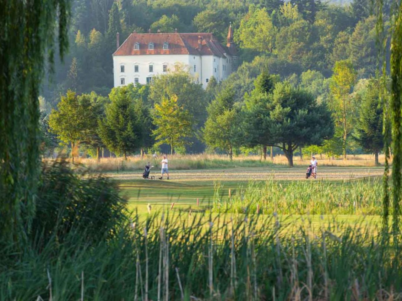 Home gc schloss ernegg austria 1280x960