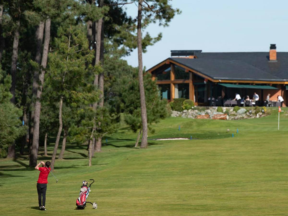 Real Sociedad de Golf de Neguri - a fairway lined with pine trees and championship bunkering, on the Basque coast west of Bilbao