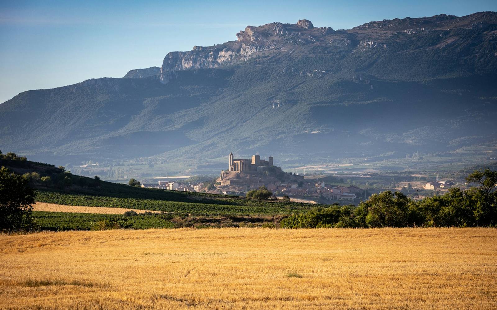 The medieval hilltop town of Laguardia seen across the Rioja Alavesa vineyards, with the Sierra de Cantabria mountains rising behind